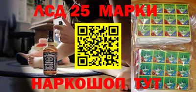 спиды Обь