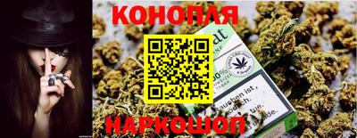 спиды Обь