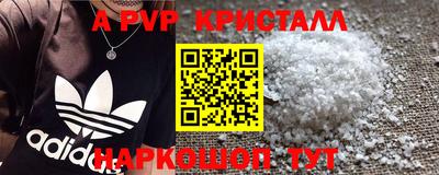 шишки Партизанск